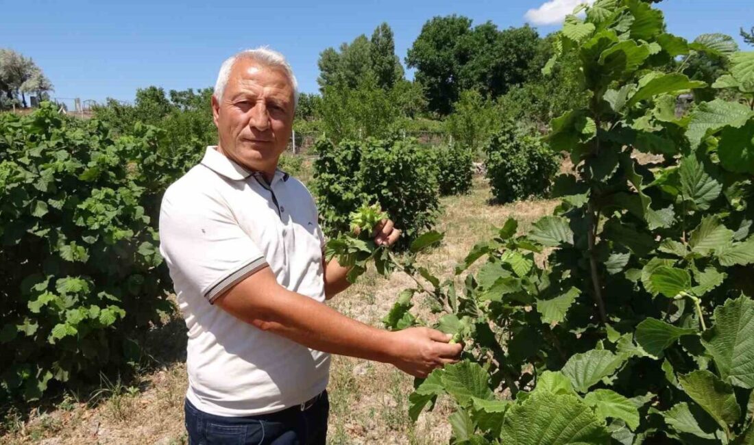Sorgun ilçesinde yaşayan Yahya Kızılkaya, 3 yıl önce bozkırın ortasında