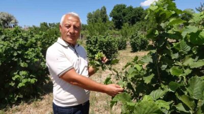 Sorgun ilçesinde yaşayan Yahya Kızılkaya, 3 yıl önce bozkırın ortasında
