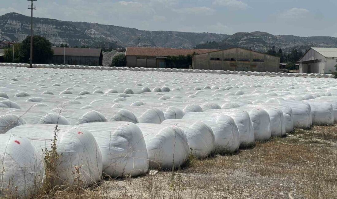 Burdur Şeker Fabrikası’nın çevresinde yaşayan vatandaşlar, son zamanlarda fabrika sahasından