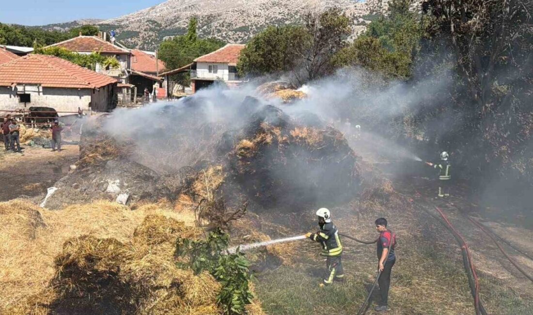 Burdur’da yaşanan bir olayda, tarım arazisinde meydana gelen yangın yaklaşık
