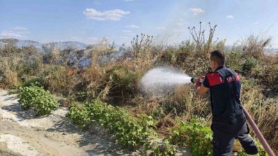 Burdur ilindeki arazi yangını, ekiplerin hızlı müdahalesi sonucu kontrol altına