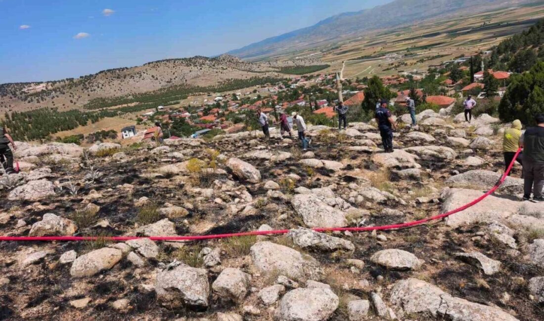Kağılcık köyüne bağlı Yukarı Mahalle Taşoluk mevkisinde meydana gelen ormanlık