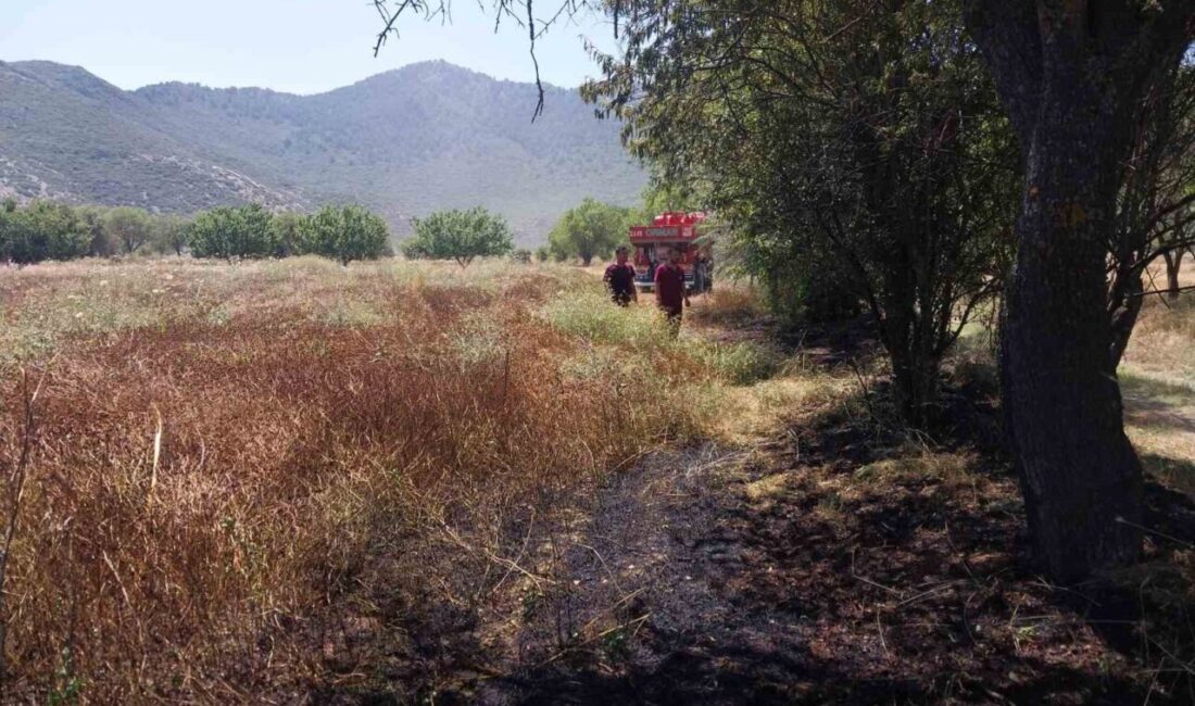 Bucak ilçesine bağlı Uğurlu köyünde tarlada çıkan anız yangını, itfaiye