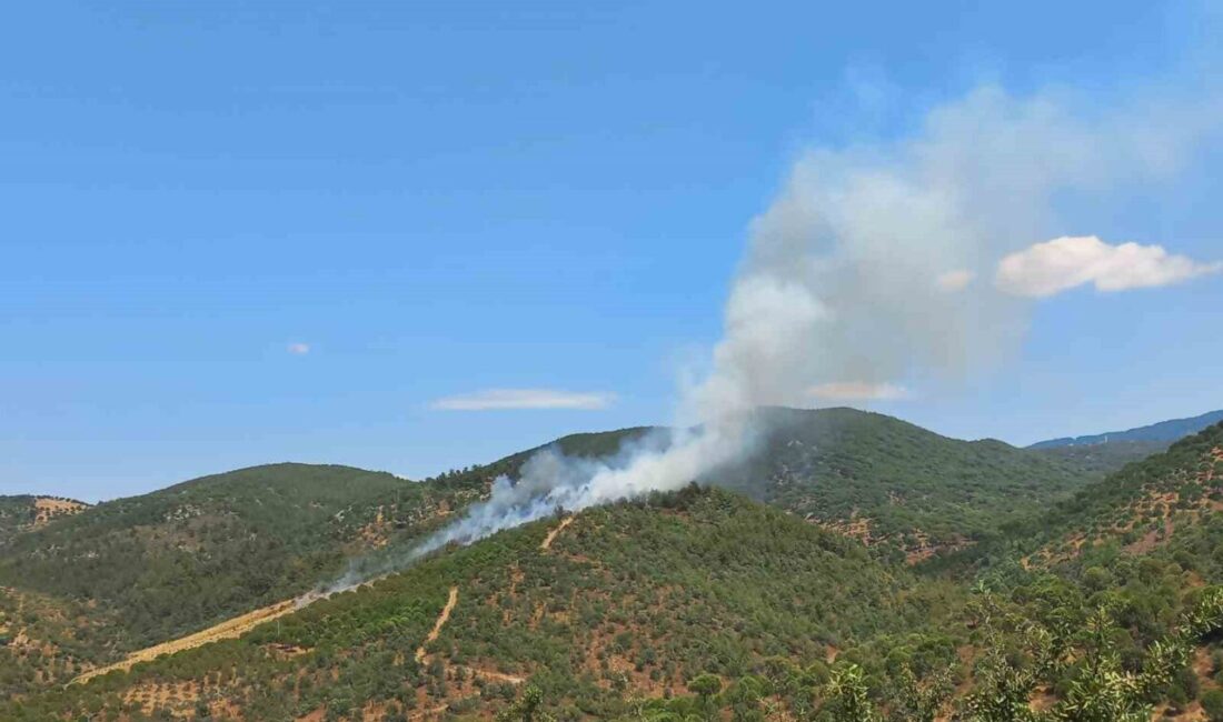Balıkesir’in Burhaniye ilçesine bağlı Hacıbozlar Mahallesi’nde saat 14.30 sularında meydana
