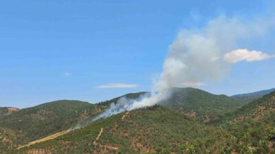Balıkesir’in Burhaniye ilçesine bağlı Hacıbozlar Mahallesi’nde saat 14.30 sularında meydana