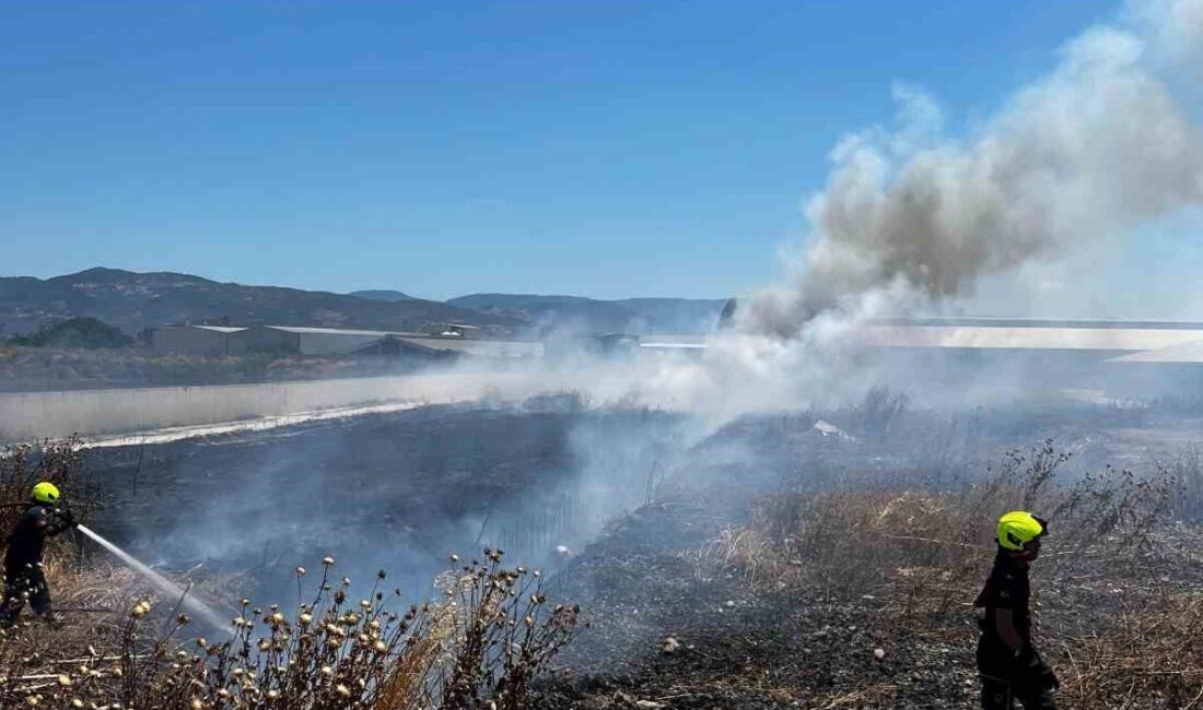 Balıkesir’in Burhaniye ilçesinde bir işletmenin bahçesinde çıkan ot yangını, itfaiye