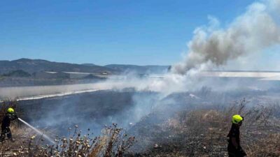 Balıkesir’in Burhaniye ilçesinde bir işletmenin bahçesinde çıkan ot yangını, itfaiye