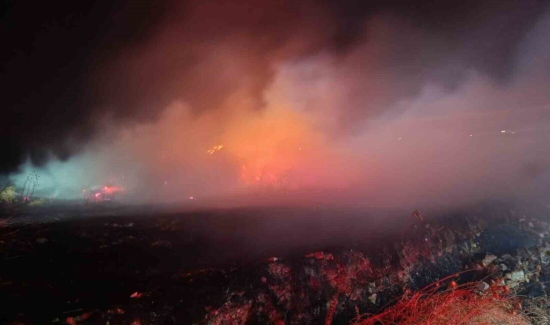 Burhaniye ilçesindeki bir çiftlikte gece saatlerinde çıkan saman yangını, 4