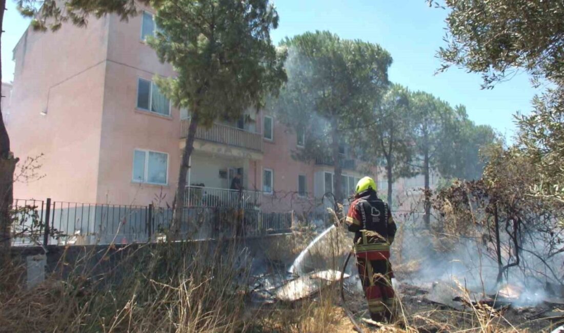 Balıkesir’in Burhaniye ilçesinde, Çanakkale-İzmir Karayolu kenarında meydana gelen ot yangını,