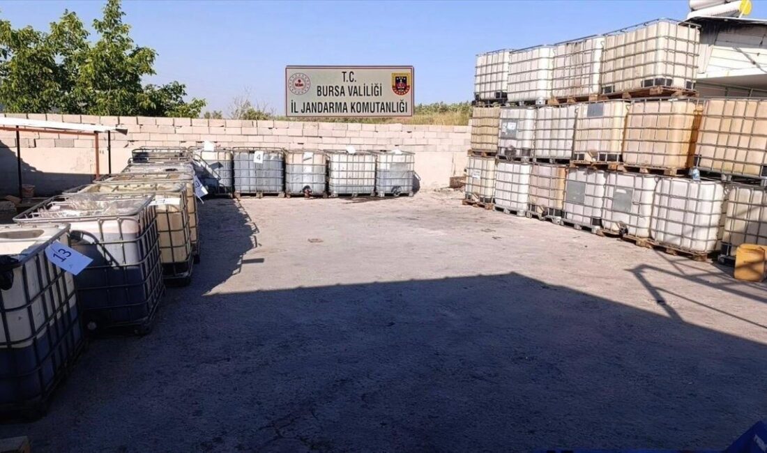 Bursa İlinde Jandarma Tarafından Yapılan Operasyonda 10 Milyon Lira Değerinde