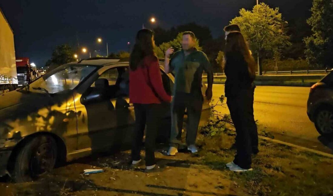 Bursa’nın Nilüfer ilçesinde meydana gelen ve ilginç anlara sahne olan