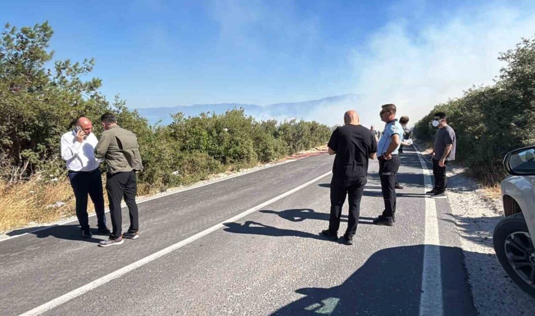 Bursa’nın Orhangazi ilçesinde bulunan bir makilik alanda yangın çıktı ve