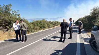 Bursa’nın Orhangazi ilçesinde bulunan bir makilik alanda yangın çıktı ve