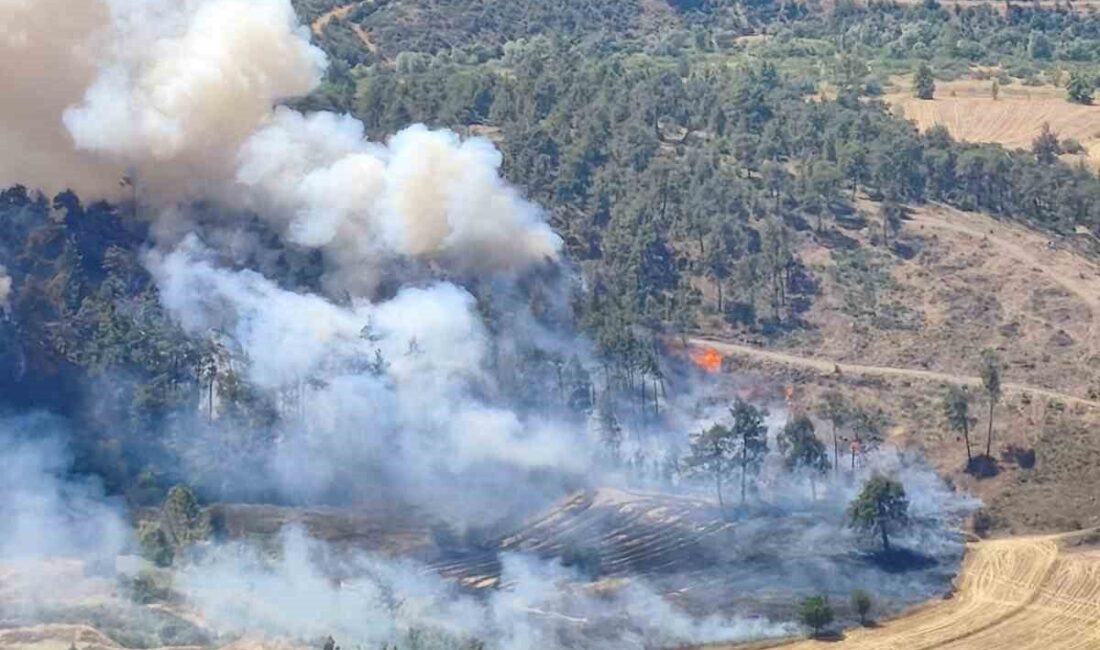 Bursa’nın Büyükorhan ilçesindeki otluk alandaki yangın, hızla büyüyerek çevredeki ormanlık