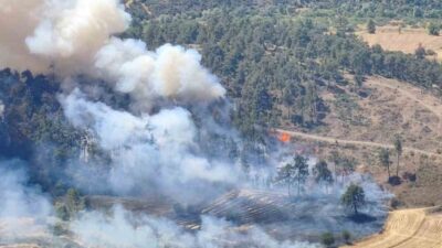 Bursa’nın Büyükorhan ilçesindeki otluk alandaki yangın, hızla büyüyerek çevredeki ormanlık