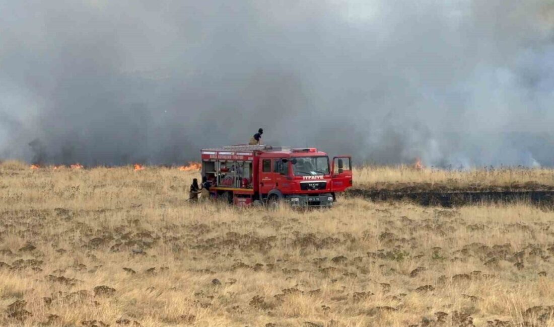 Bursa’daki Yenişehir Havalimanı girişinde bulunan otluk alanda meydana gelen yangın,