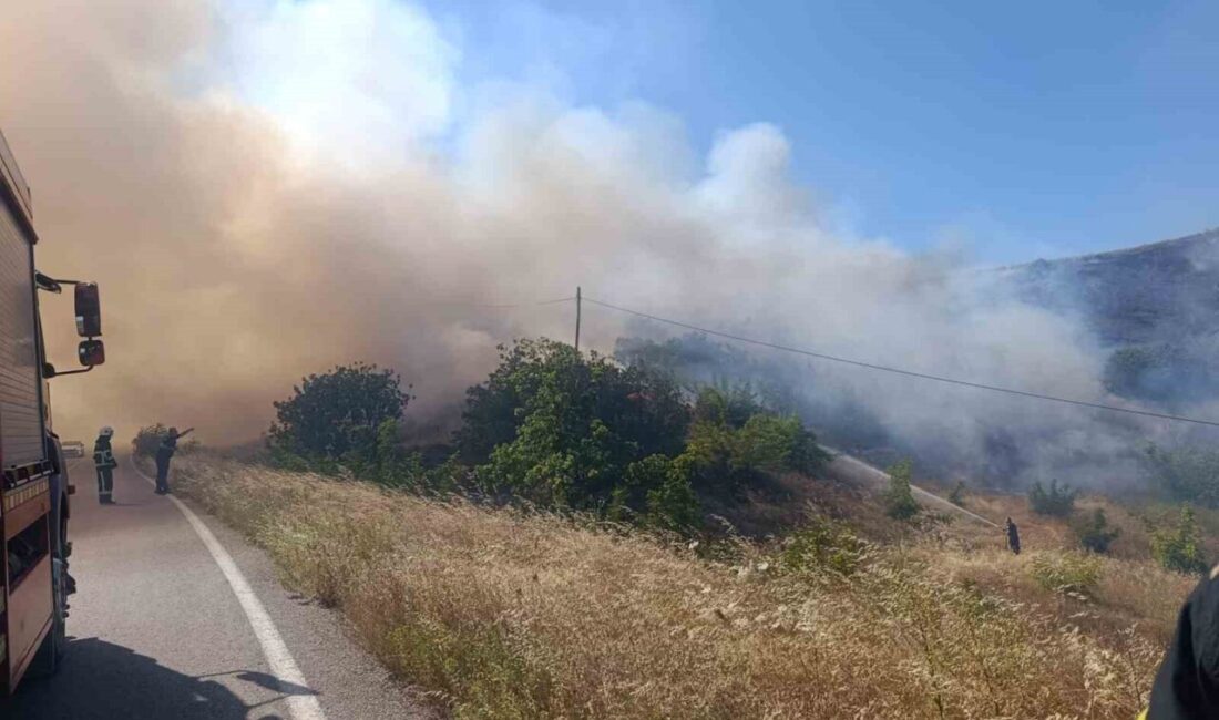 Bursa’nın İnegöl ilçesinde bulunan bir güneş paneli alanında çıkan yangın,