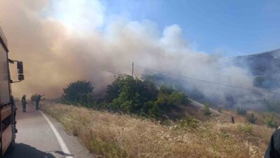 Bursa’nın İnegöl ilçesinde bulunan bir güneş paneli alanında çıkan yangın,