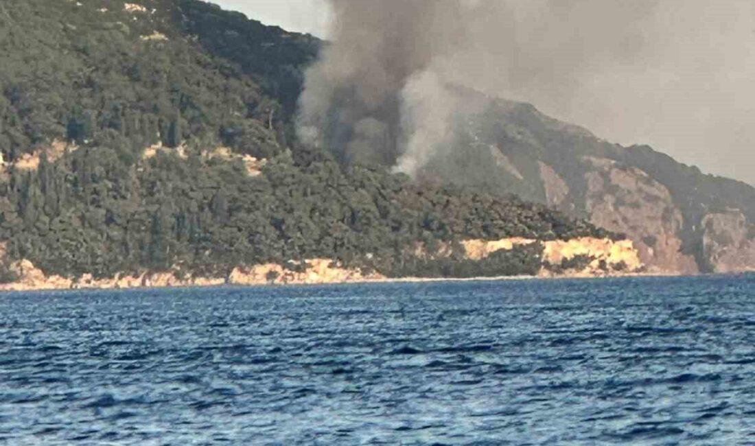 İstanbul’un Adalar ilçesinde, Büyükada’daki Viranbağ Plajı’nda meydana gelen yangın, endişe