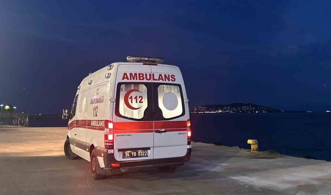 Büyükada’nın Viranbağ Plajı’nda yangın çıkması büyük endişeye yol açtı. Yangın,