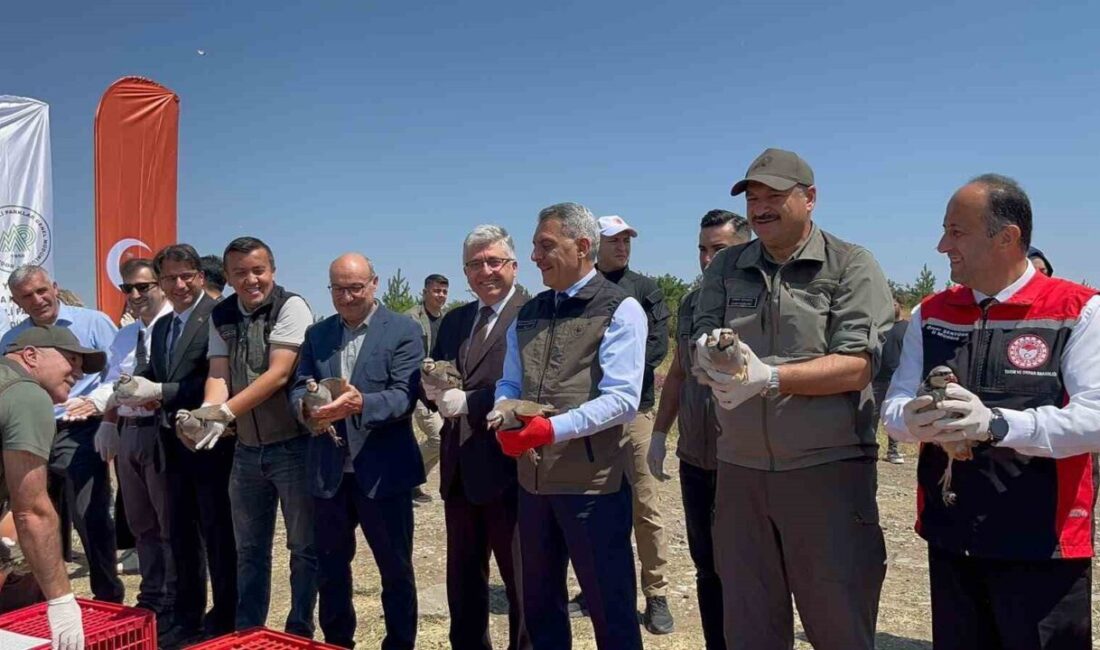 Yozgat Doğa Koruma ve Milli Parklar Şube Müdürlüğü, Yozgat Çamlık