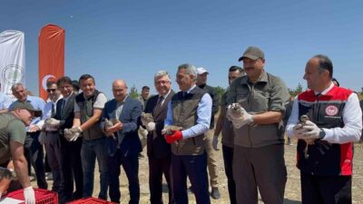 Yozgat Doğa Koruma ve Milli Parklar Şube Müdürlüğü, Yozgat Çamlık