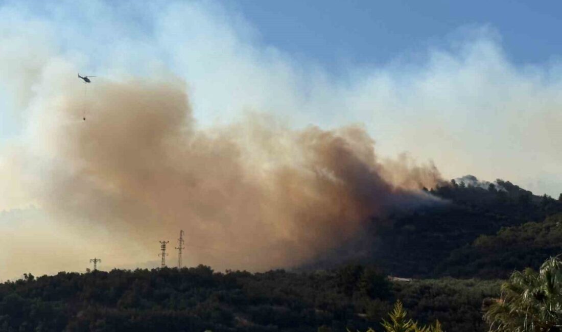 Çanakkale Valiliği tarafından alınan bir karara göre, kentte 4 gün