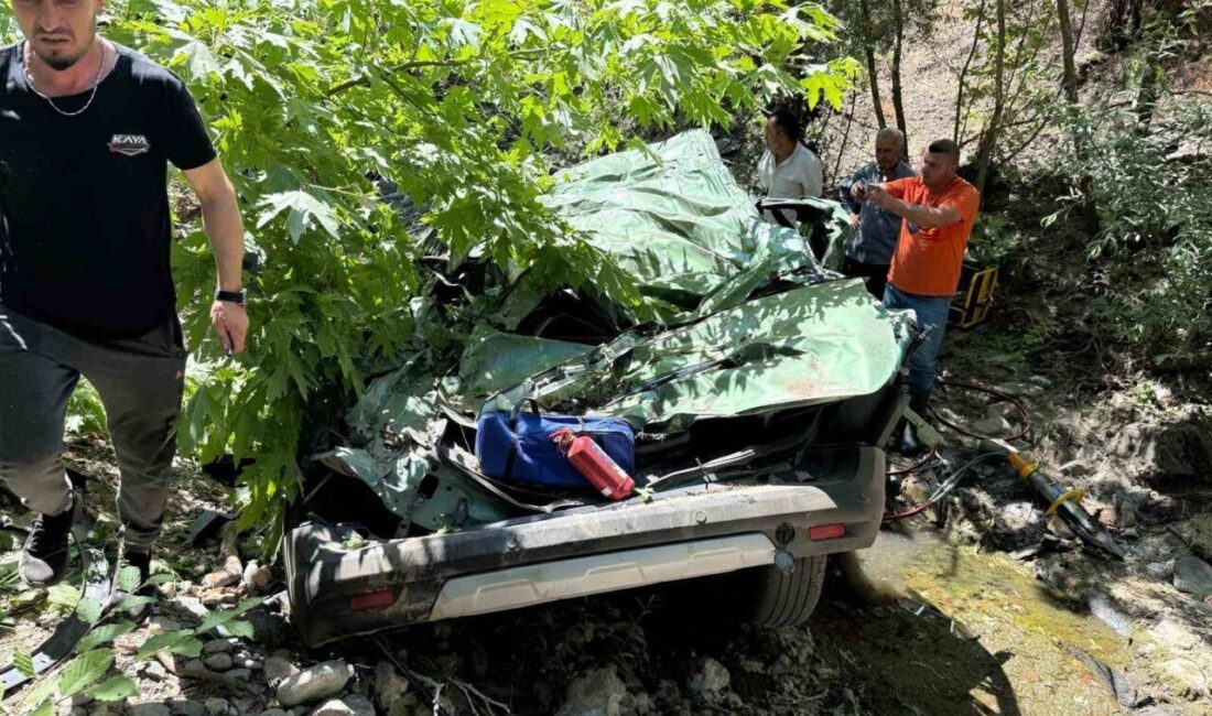 Çanakkale’nin Yenice ilçesinde, hafif ticari aracın kontrolünden çıkarak dere yatağına