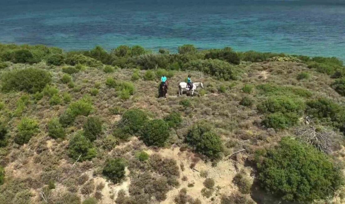 Çanakkale’de, orman ve jandarma ekipleri orman yangınlarını engellemek için sahada
