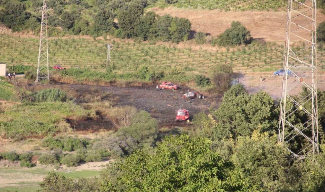 Çanakkale’nin Bayramiç ilçesinde, tarım arazisinde başlayan yangın, Orman Bölge Müdürlüğü
