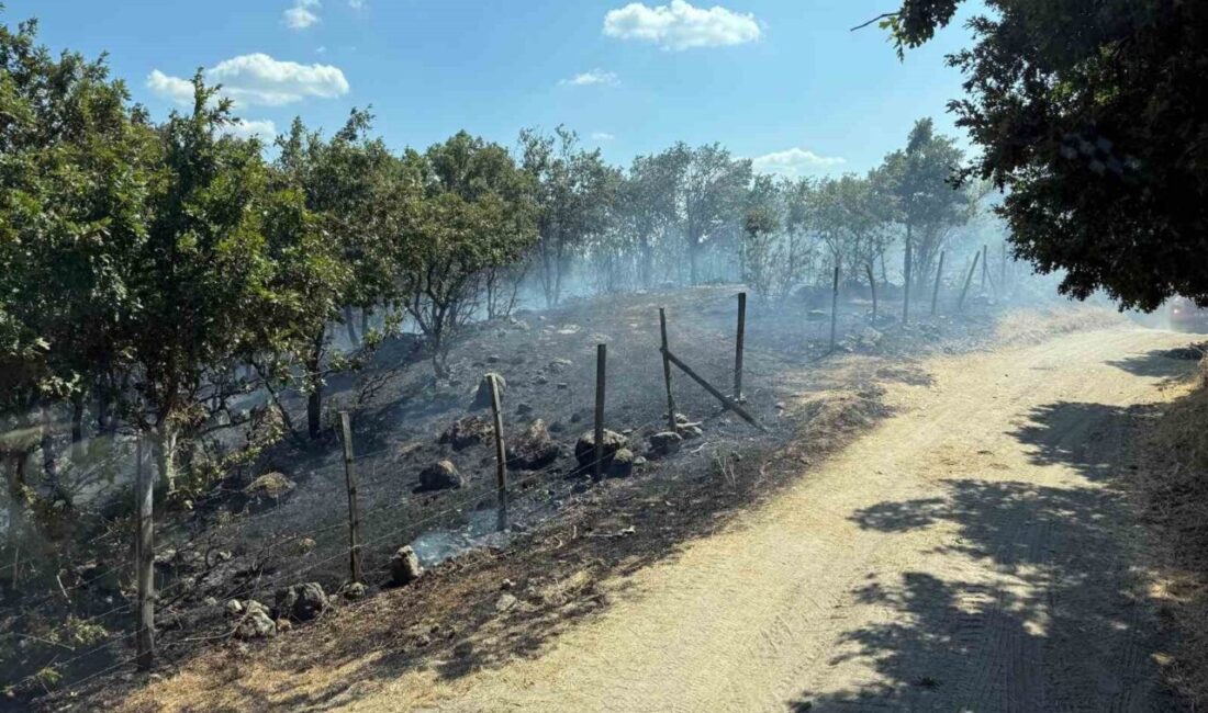 Çanakkale’nin Yenice ilçesinde, Sarıçayır ve Taban köyleri arasındaki tarım arazisinde