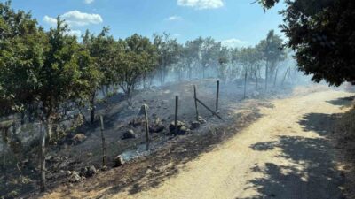 Çanakkale’nin Yenice ilçesinde, Sarıçayır ve Taban köyleri arasındaki tarım arazisinde