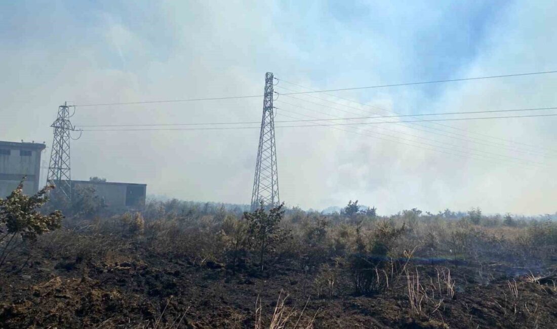 Biga ilçesine bağlı Yeniçiftlik köyü yakınlarındaki bir tarım arazisinde meydana