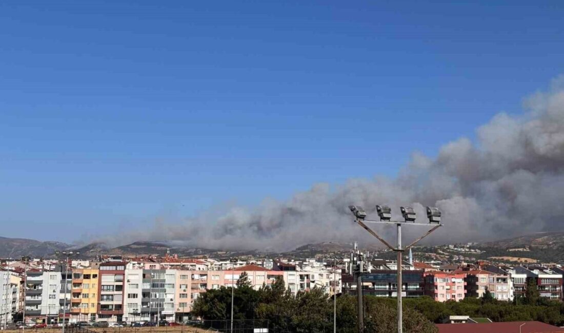 Çanakkale’de, Sarıcaeli köyünde meydana gelen orman yangınına Orman Bölge Müdürlüğü