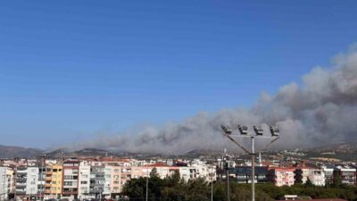 Çanakkale’de, Sarıcaeli köyünde meydana gelen orman yangınına Orman Bölge Müdürlüğü