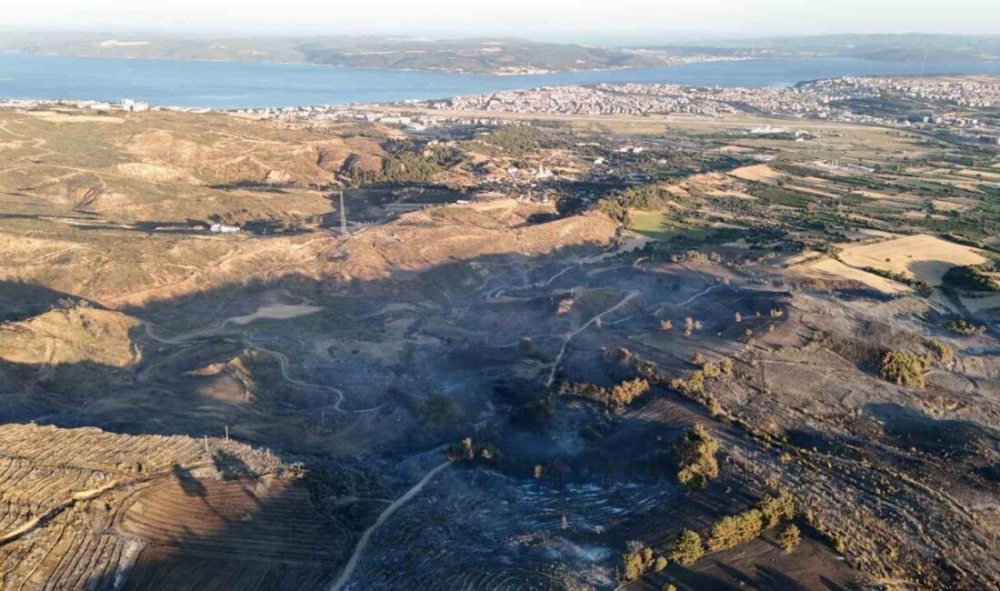 Çanakkale’nin merkeze bağlı Sarıcaeli köyünde dün öğleden sonra çıkan yangın,