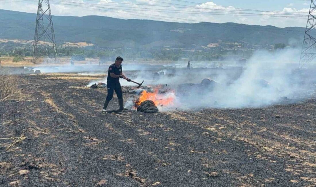 Çanakkale’nin Çan ilçesinde bir tarım arazisinde meydana gelen yangın, Orman