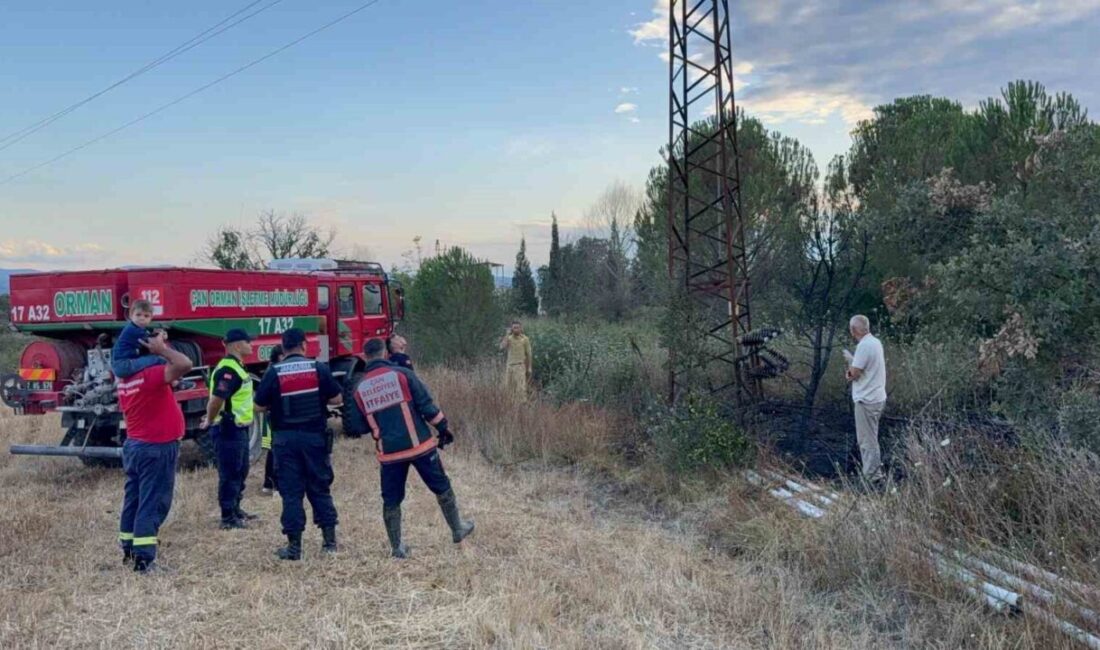 Çanakkale’nin Çan ilçesinde bir elektrik direğinde meydana gelen sigorta patlaması