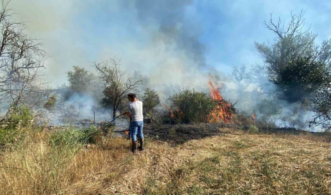 Çankırı’nın Korgun ilçesinde meydana gelen bir örtü yangını, çevredeki makilik