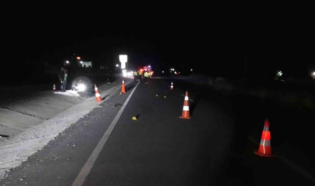 Gaziantep’te meydana gelen ve yayaya çarpıp ölümüne sebebiyet veren sürücü,