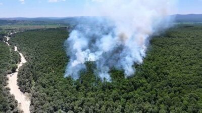 Çatalca’daki ormanlık alanda meydana gelen yangın, ekiplerin havadan ve karadan