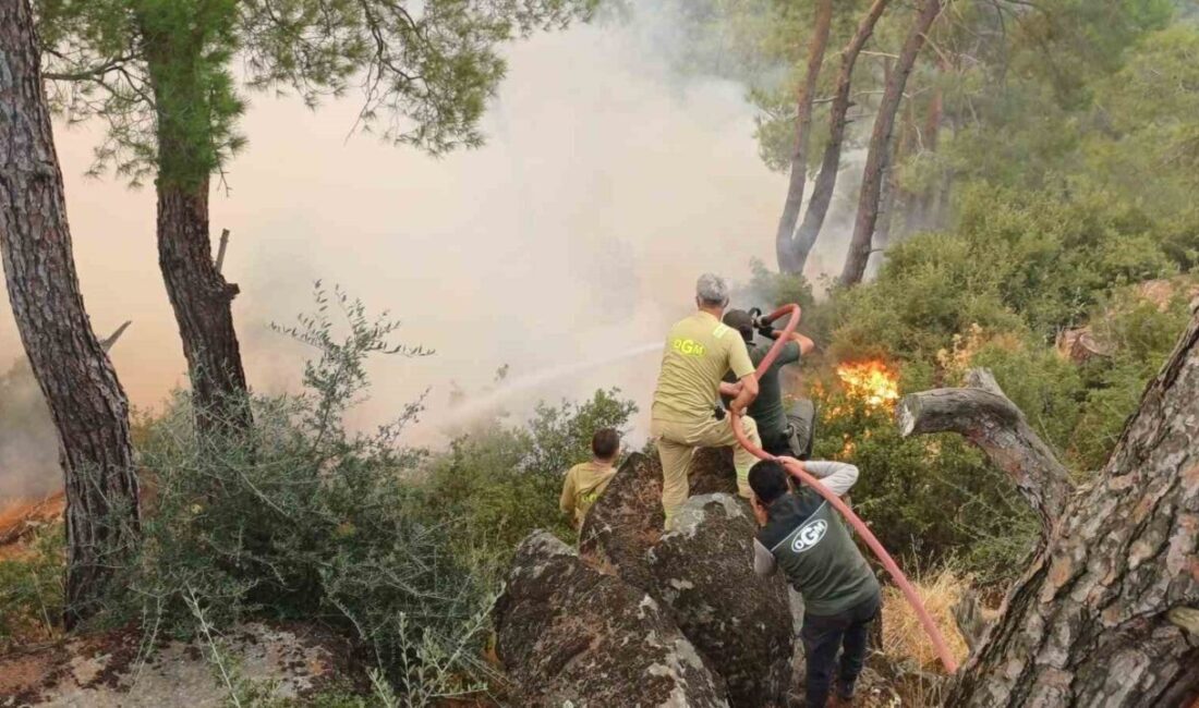 Çine ilçesinde dün başlayan orman yangını kontrol altına alınmaya çalışılırken,