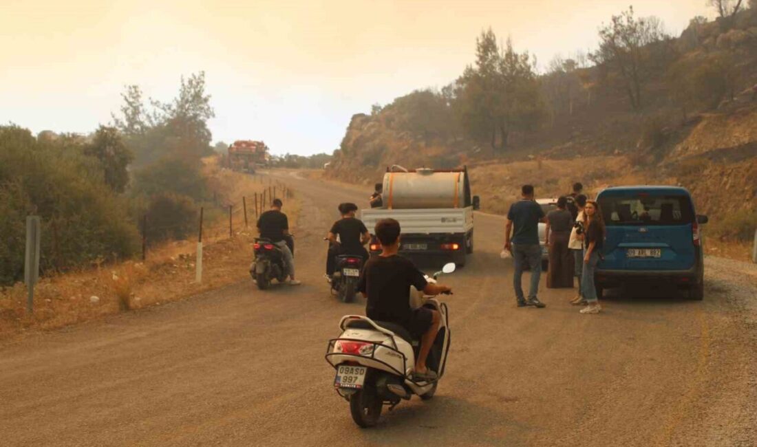 Çine ilçesinde iki gündür devam eden orman yangınının kontrol altına