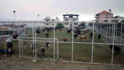 Aydın’ın Çine ilçesindeki orman yangını, 20. saate girerken Mutaflar Mahallesi’ne
