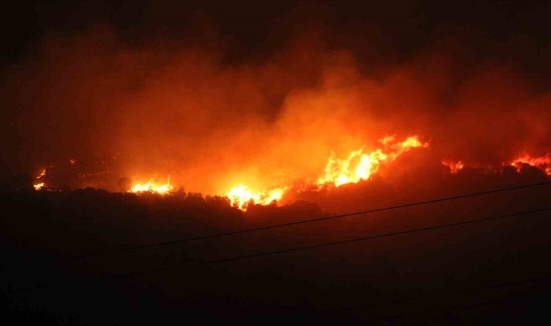 Çine ilçesinde çıkan orman yangınına müdahale, gece boyunca kesintisiz bir