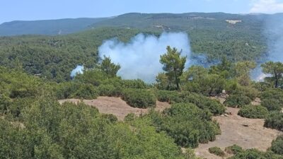 Çine ilçesinde meydana gelen orman yangını, ekiplerin büyük çabasıyla kontrol