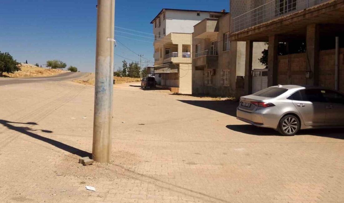 Halfeti ilçesinde yaşanan olayda, bir buçuk yaşındaki çocuğu başıboş sokak