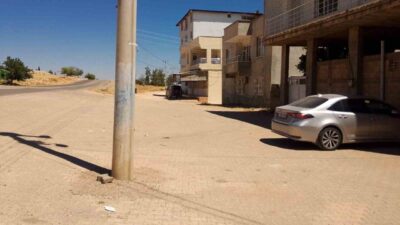 Halfeti ilçesinde yaşanan olayda, bir buçuk yaşındaki çocuğu başıboş sokak