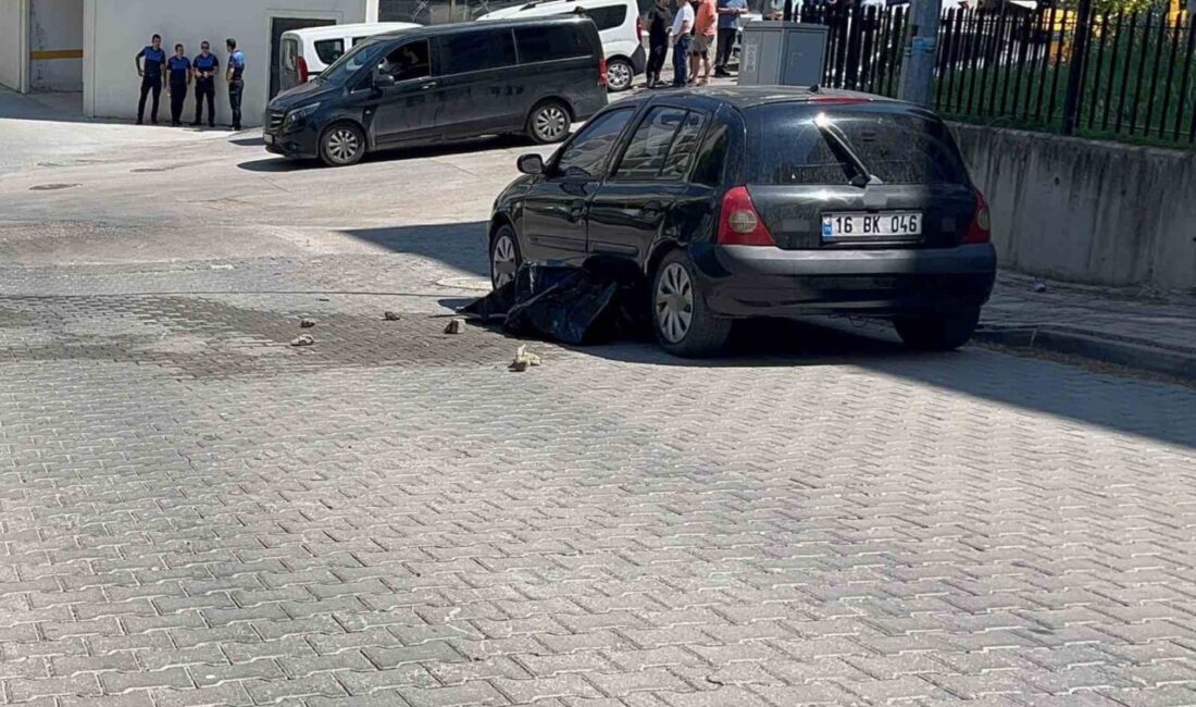 Bursa’da Mudanya ilçesi Güzelyalı Mahallesi Seyirtepe Evleri mevkiinde, bir çöp