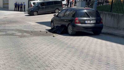 Bursa’da Mudanya ilçesi Güzelyalı Mahallesi Seyirtepe Evleri mevkiinde, bir çöp